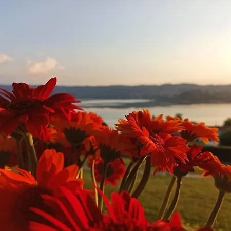 Panzió The House Viverone