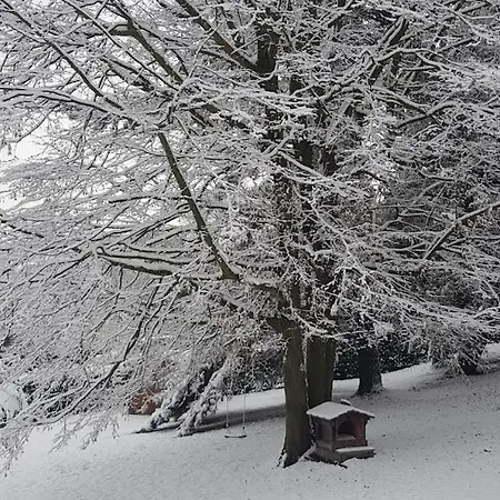 Panzió The House 4*