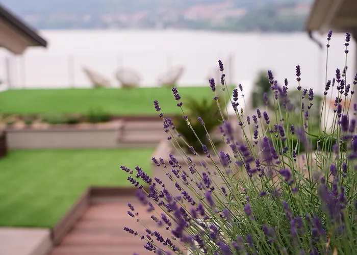 The House 4* Viverone
